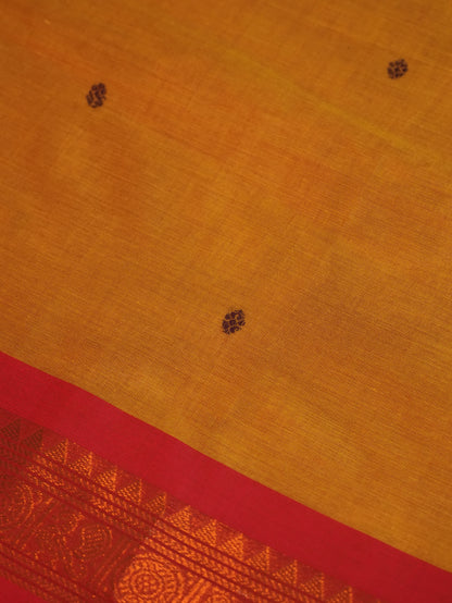 Raja Nilai CC 013 - Chettinad Cotton Saree