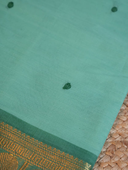 Raja Nilai CC 015 - Chettinad Cotton Saree