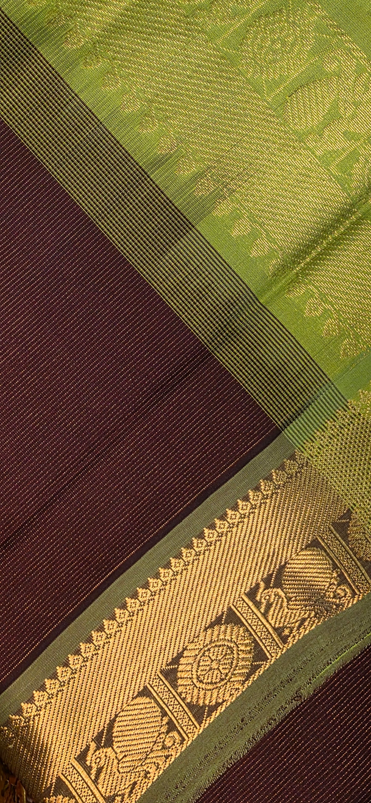 Raga SSC 001 - Semi Silk Cotton Saree